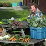 A Fresh Summer Harvest