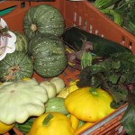 Harvest Time