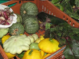 Harvest-Time-sml Always Fresh and Locally Grown