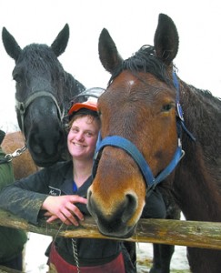 Just us horses here