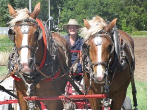horses2.sml