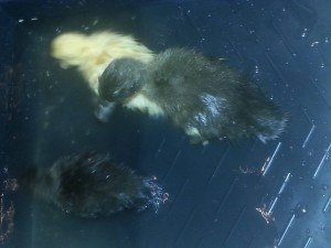 20150510_175925