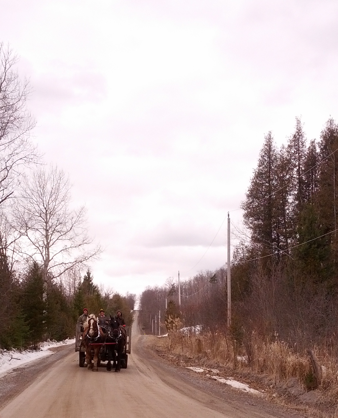 Calvin and Lenny on road
