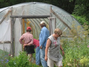 Inspecting the hoophouse!
