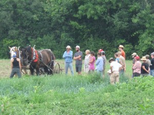 Demonstrating Row Cultivating, ahh! Teamwork!