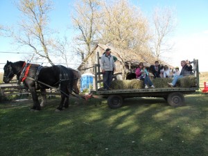 The kids enjoying their wagon ride!
