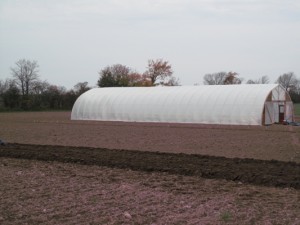 Oiur finished product!