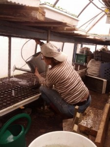 Margie waterin in greenhouse