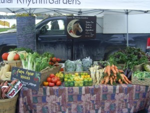 Our booth at the Port Perry Market.