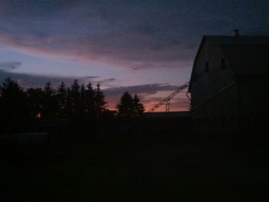 dusk at the farm
