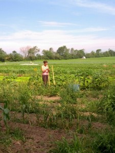 small jeanne and sunflower